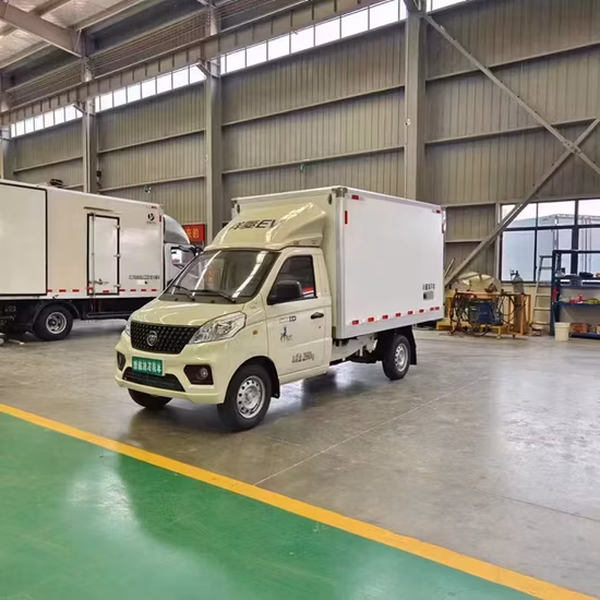 Refrigerator Truck Freezer Van Truck Refrigerated Van Box Truck for Meat Vegetable