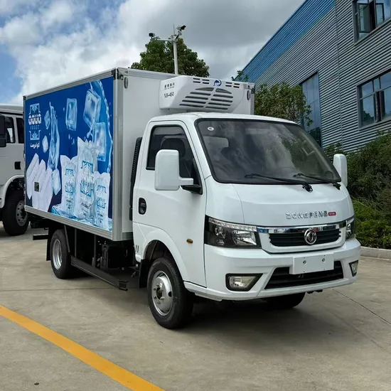 Refrigerator Truck Freezer Van Truck Refrigerated Van Box Truck for Meat Vegetable