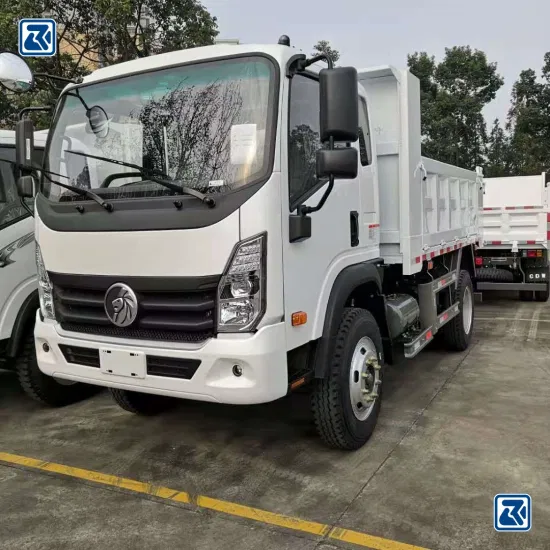 Sinotruk/Sinotruck/Sino Cdw/HOWO 4X2/4X4 LHD/Rhd 가벼운 의무 5t